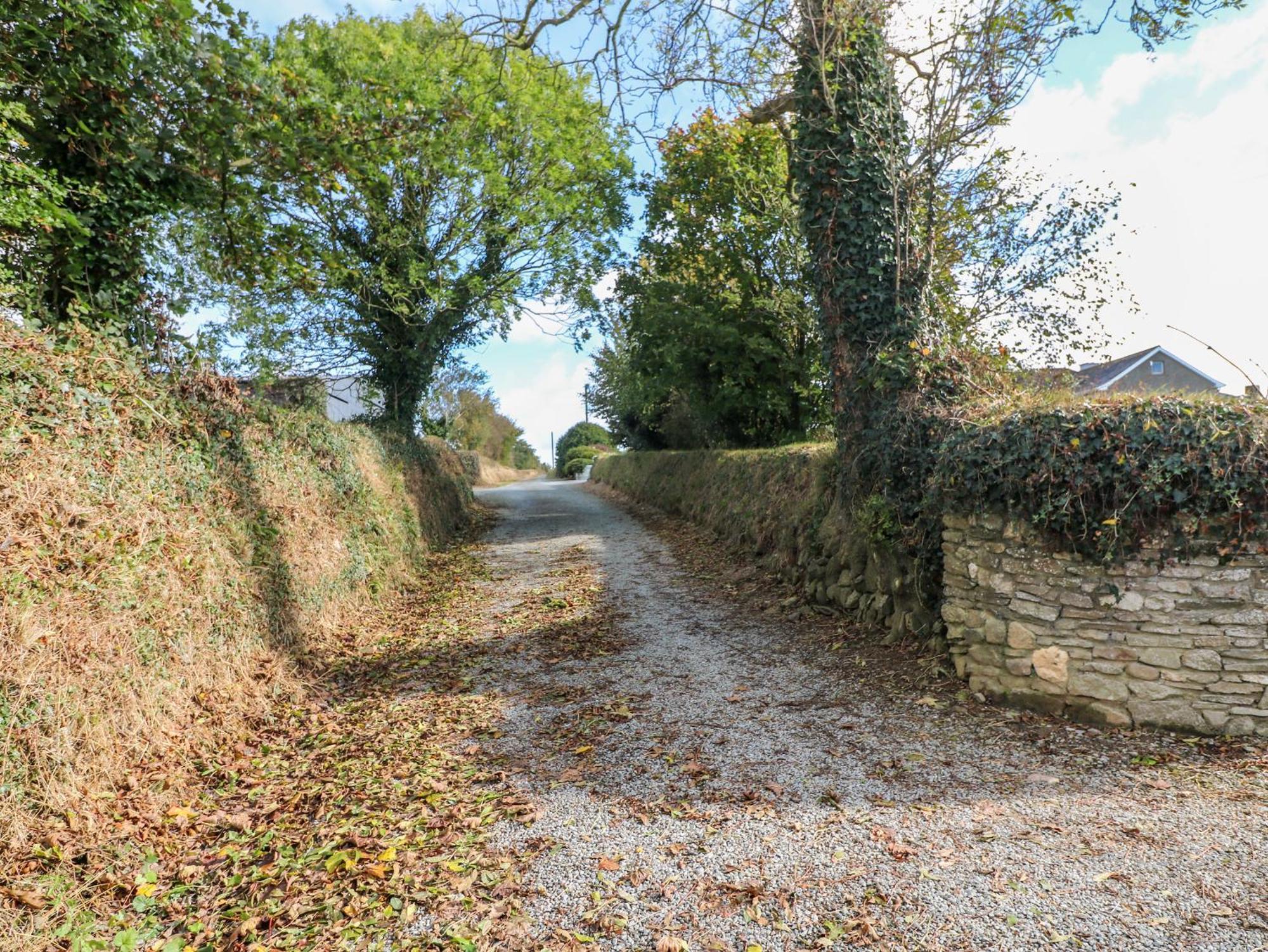 Rose Cottage, New Ross Ramsgrange Exteriör bild